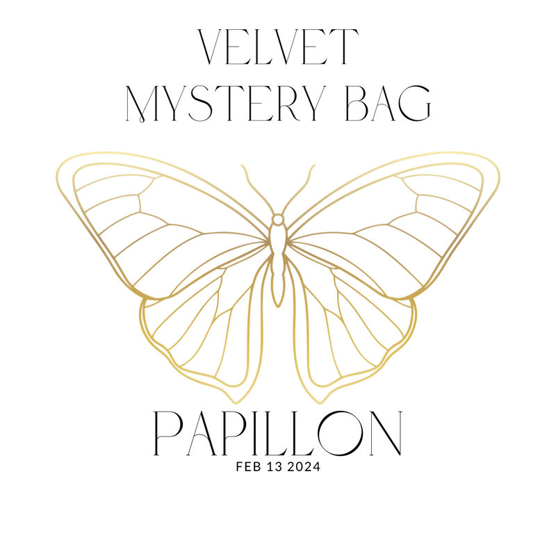 Velvet (2pc) Mystery Bag by LŪMEN