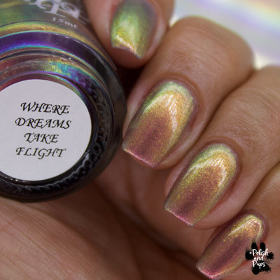 Where Dreams Take Flight | Paint it Pretty Polish