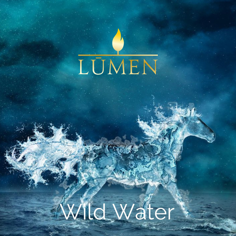 Wild Water MYSTERY - May 2024 Myths & Monsters by LŪMEN